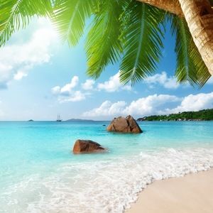 Meet your Posher, Elvin